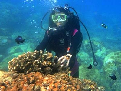 湘楚山水戶外俱樂部